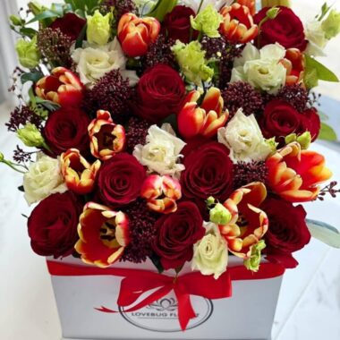 Noble Bloom