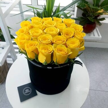 Boxed Flowers 045