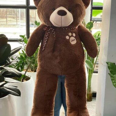 Teddy Bear 005