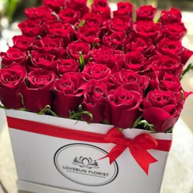 Boxed flowers 071