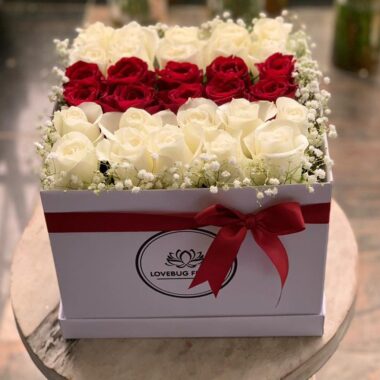 Boxed flowers 081