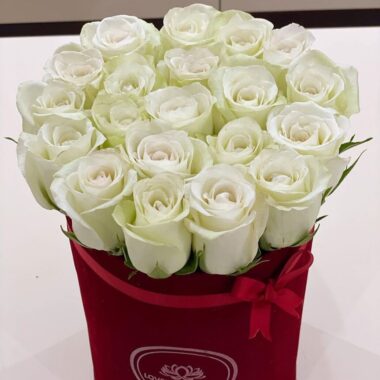 You are irreplaceable (Standard White)