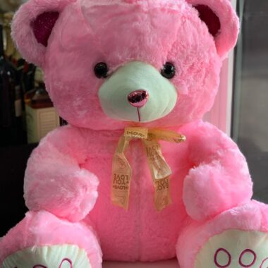 Teddy bear 003