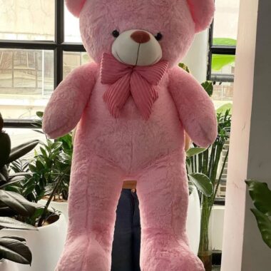 Snugglebear