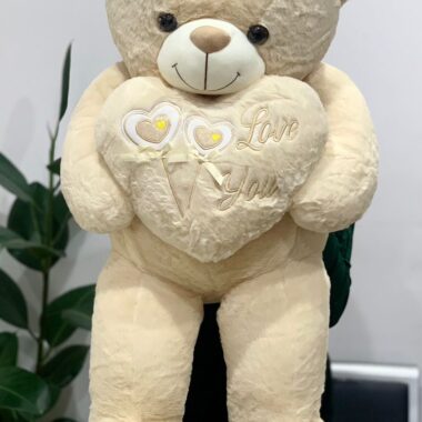 Large Teddy 100cm