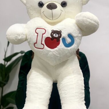 Big Teddy 800cm