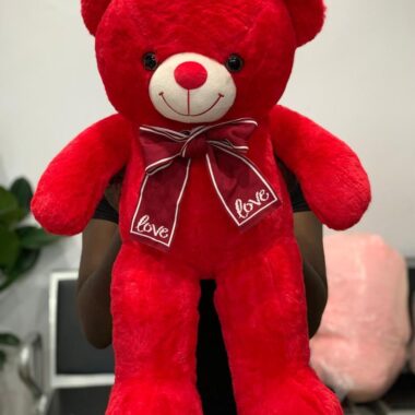 Red Teddy