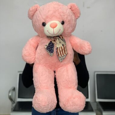 80cm Teddy