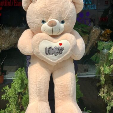80cm Teddy 2