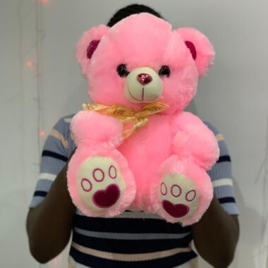 Pink Teddy 35cm