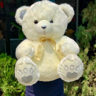 White Teddy 50cm