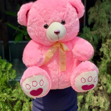 Pink Teddy 50cm