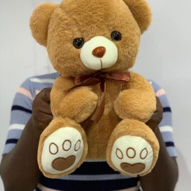 Brown Teddy 35cm